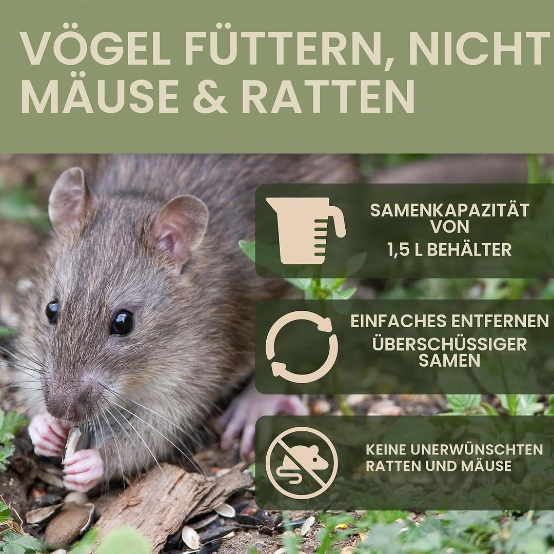 SWISSINNO Vogelfutterhaus zum Aufhängen – Davos SMART Birds - Vogelfutterspender mit Auffangschale -