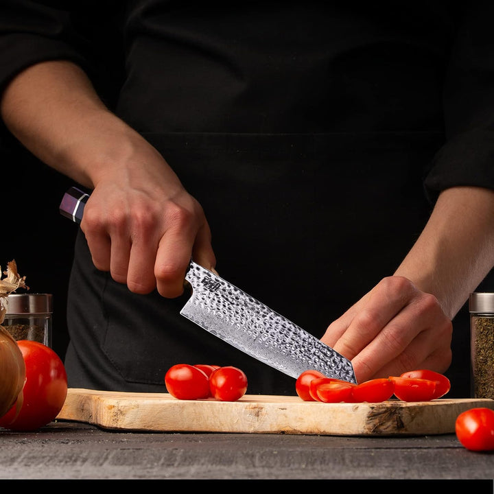 FINDKING Eternity Series Japanisches Kiritsuke Messer mit ABS Scheide, Mehrzweck Gyuto Kochmesser, 9