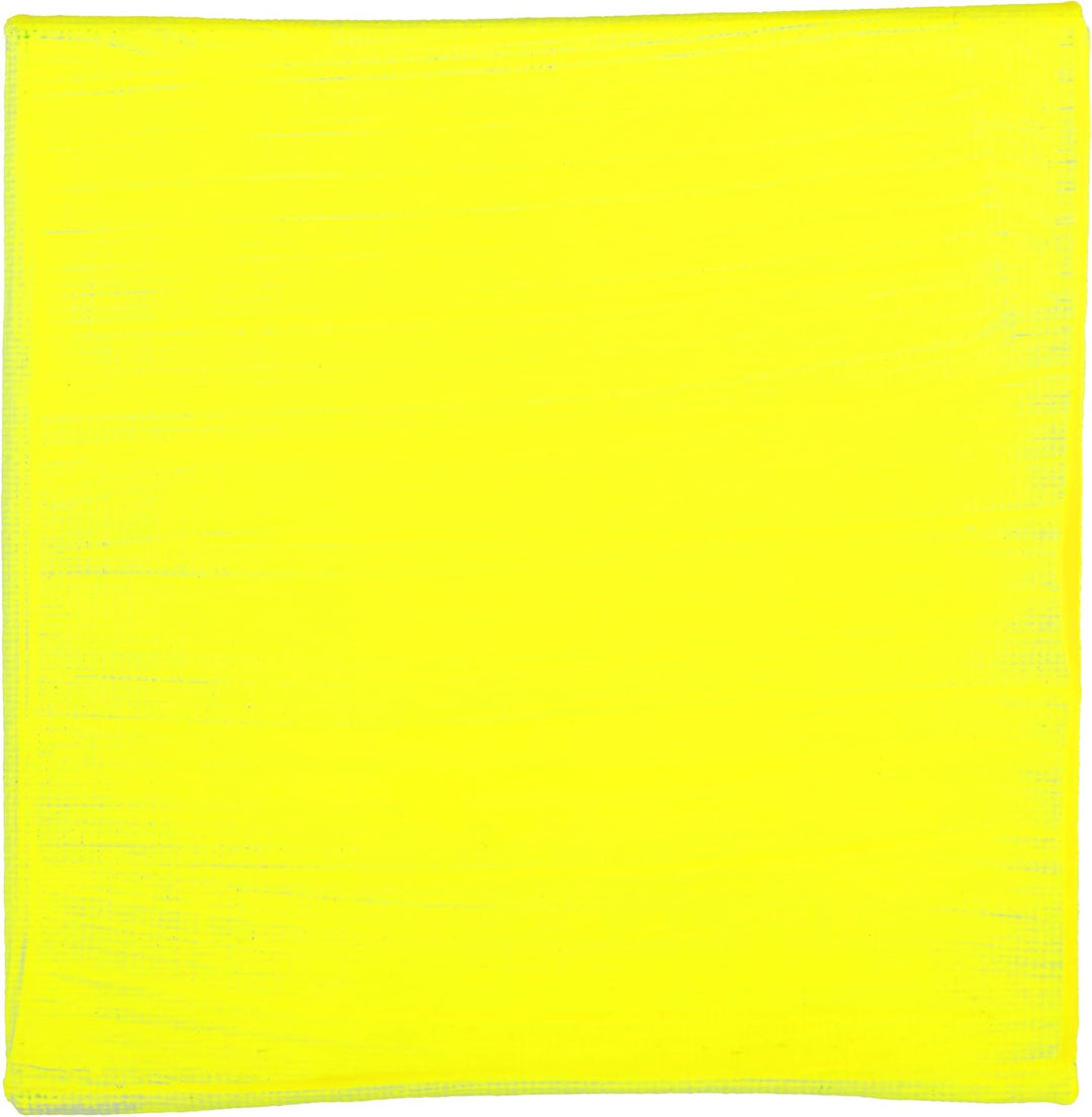 Blockx 61723BXC - Tube 250ml, feine Acrylfarbe, Acrylic Artist, transparent und satiniert, Neonfarbe