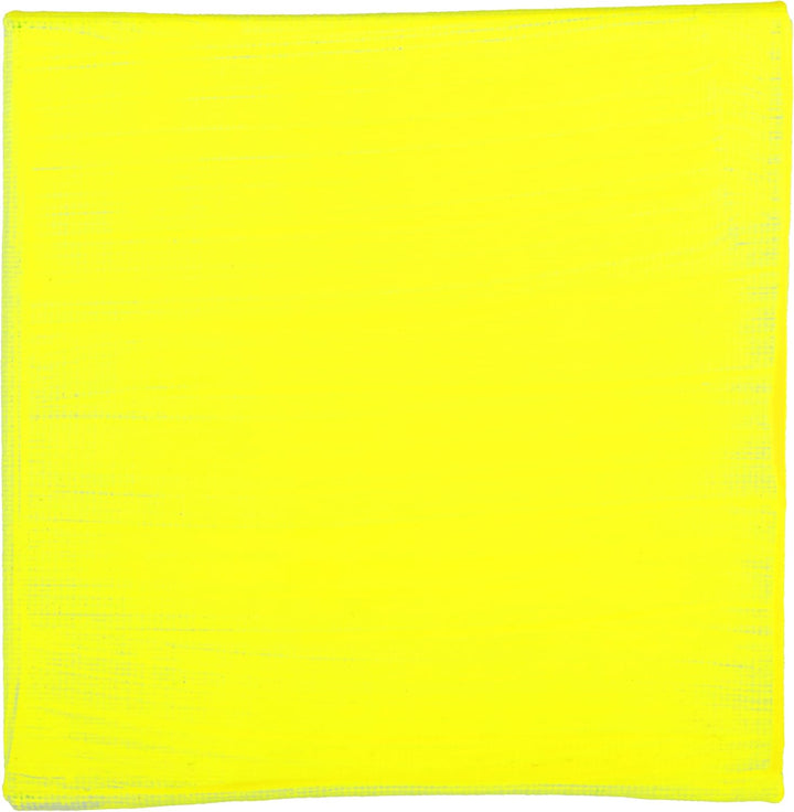 Blockx 61723BXC - Tube 250ml, feine Acrylfarbe, Acrylic Artist, transparent und satiniert, Neonfarbe