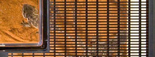 Exo Terra Faunarium, Allzweckbehälter für Reptilien, Amphibien, Mäuse und Insekten, gross flach, 46,