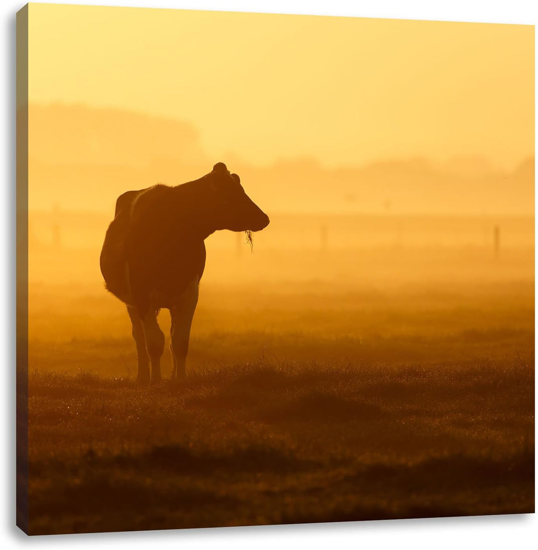 Pixxprint eine fressende Kuh auf der Weide, Format: 70x70 auf Leinwand, 70x70