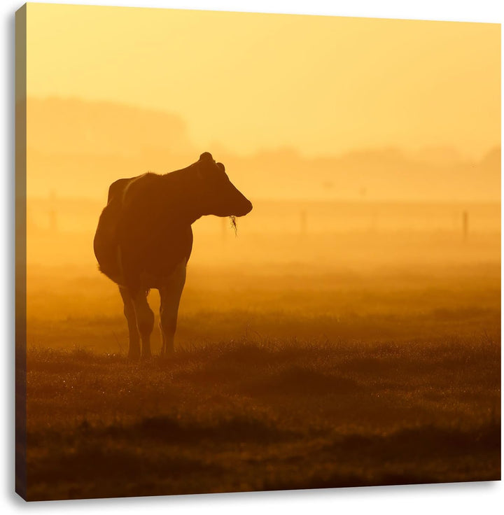 Pixxprint eine fressende Kuh auf der Weide, Format: 70x70 auf Leinwand, 70x70