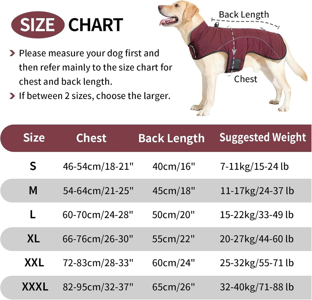 HEYWEAN Mantel Hund Wasserdicht Hundemantel Warm Winter Hundejacke Fleece Hunde Pullover Wintermante