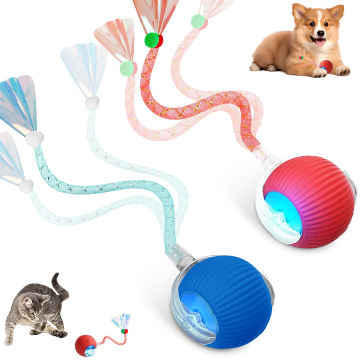 Interaktives Katzenspielzeug，Lot de 2 Katzenspielzeug，Katzenspielzeug Ball Mit Einem Blinkenden und