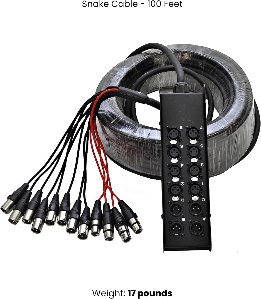 Seismic Audio SACB-8x4x100 8-Kanal XLR Low Profile Leiterplatte Snake Kabel, 30 m 100 Foot - 8 Send
