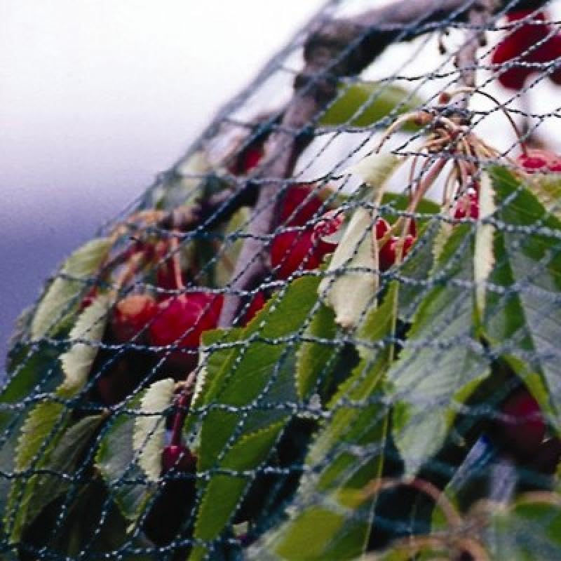 Tymar Teichnetz, Gartennetz, Vogelschutznetz, Laubnetz, Obstbaumnetz, Vogelabwehrnetz, Balkon Netz,