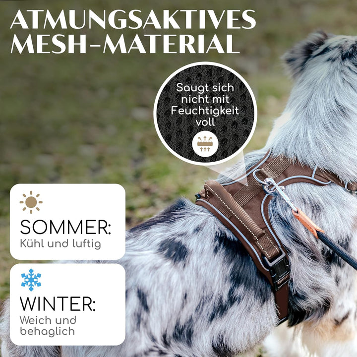 FREUDENTIER Hundegeschirr mit Griff, atmungsaktiv gepolstert - Bombenfester Sitz & maximale Sicherhe