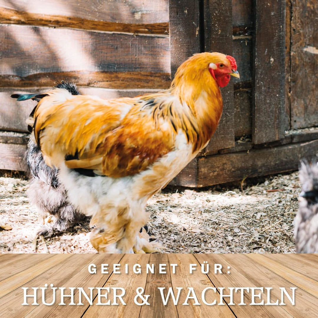 Meine Hennen, KÖRNER VITAL EXZELLENT Plus 30 kg. Premium Hühnerfutter und Wachtelfutter, Körnerfutte