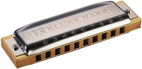 Blues Harp Hohner Diatonische Mundharmonika 20dx 532/20 Voices Mythische für Blues