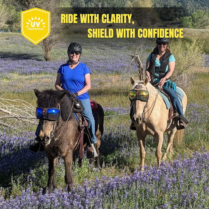 EQUICK Brille Pferd eVysor