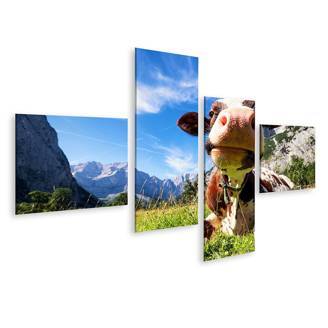islandburner Bild auf Leinwand Kühe Im Karwendelgebirge In Österreich Bilder Wandbilder Poster Leinw