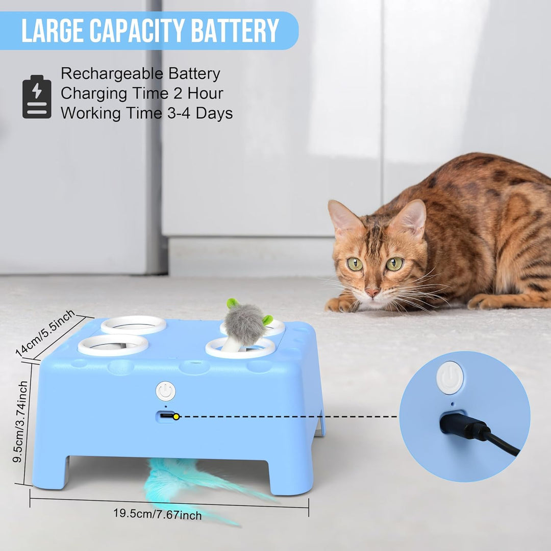 IOKHEIRA Interaktives Katzenspielzeug, 2-in-1 Automatisches Katzenspielzeug, 4-Loch-Mäuse-Schlag-ein