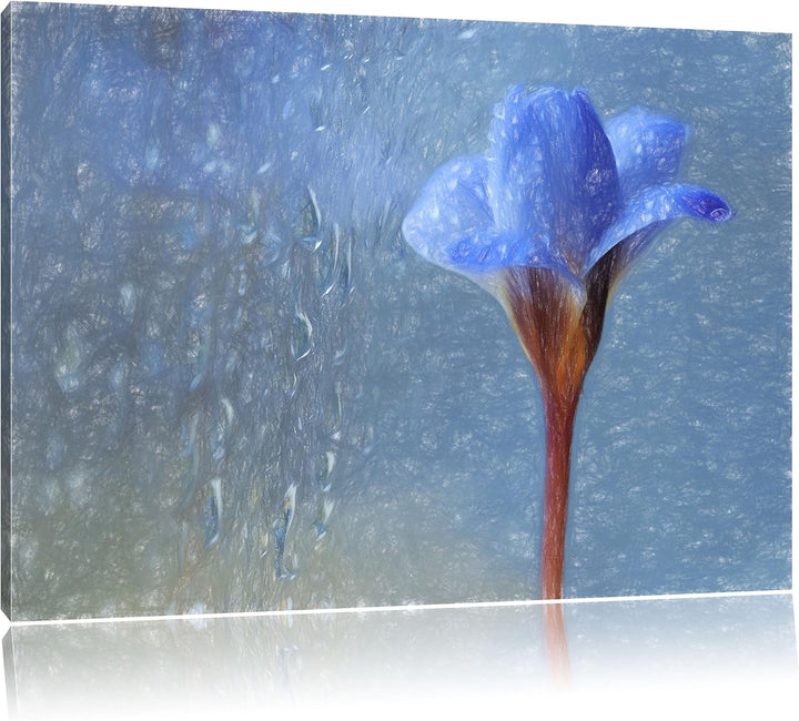 Pixxprint Blaue Frühlingsblume mit Tautropfen Kunst Buntstift Effekt, Format: 100x70 auf Leinwand, X
