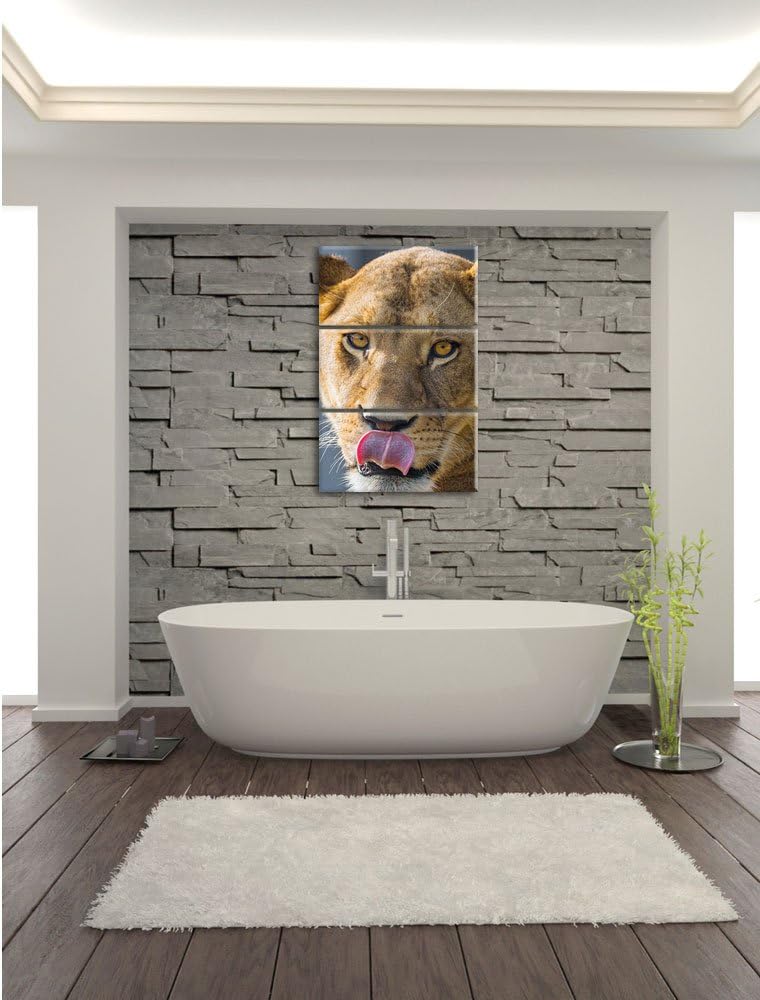 Pixxprint anmutige Löwin 3-Teiler Leinwandbild 120x80 Bild auf Leinwand