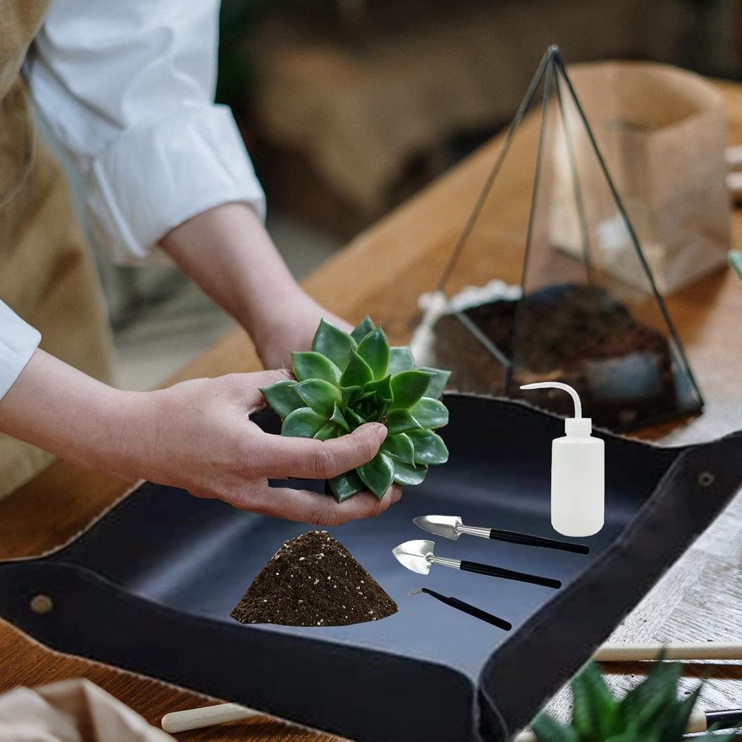 DUGYIRS Bonsai Werkzeug Set,Pflanzen Gartengeräte Set,Mini Gartenwerkzeug Werkzeug Set für Pflanzenp