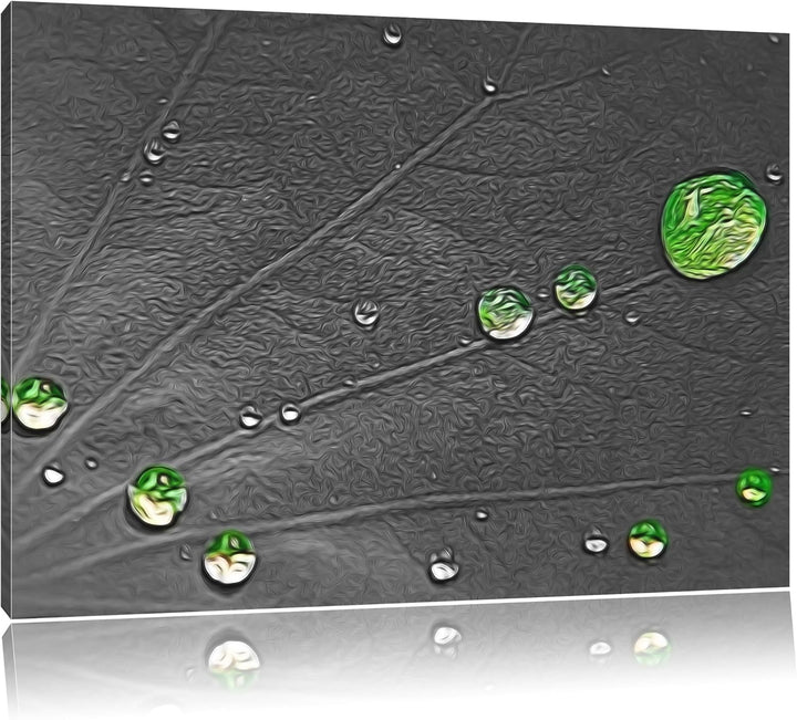 winzige Wassertropfen auf grünem Blatt schwarz/weiss Deluxe Format: 100x70 cm auf Leinwand, XXL ries