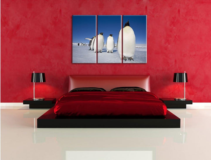 Pixxprint Kaiserpiguine in Antarktis / 3-Teilig/Gesamtmass 120cm Leinwandbild bespannt auf Holzrahme