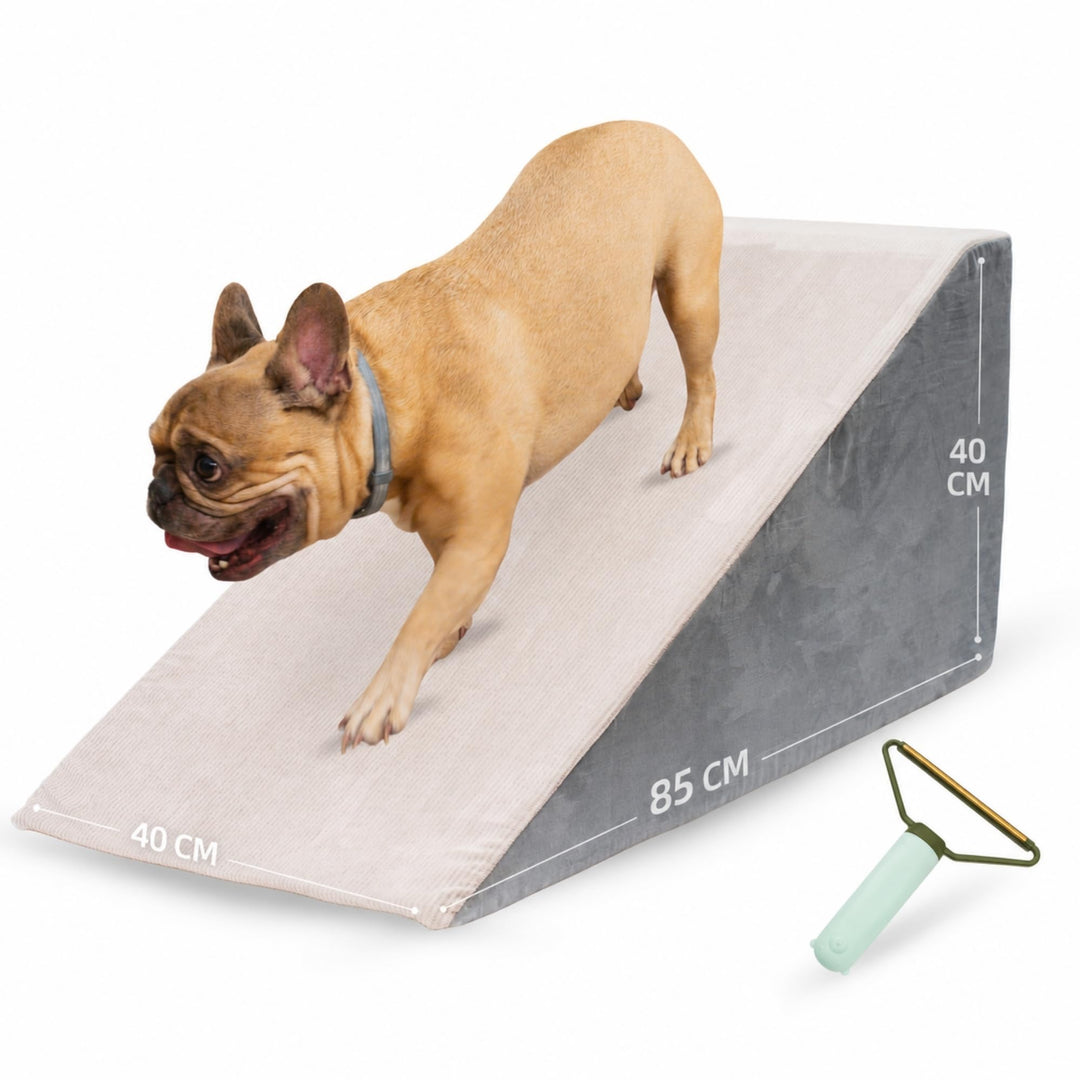 Rampe für Hunde, Schaumstoff, hohe Dichte, rutschfest, waschbar, stabil, leicht, bequem, grosse Haus