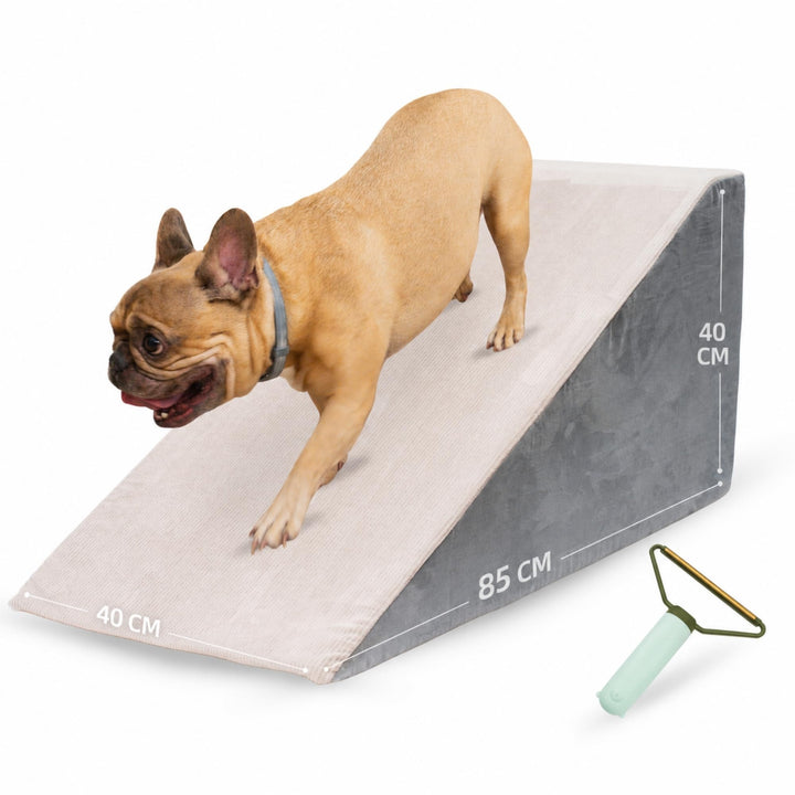 Rampe für Hunde, Schaumstoff, hohe Dichte, rutschfest, waschbar, stabil, leicht, bequem, grosse Haus