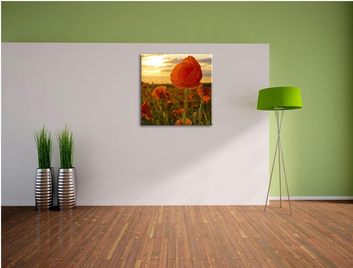 Pixxprint Mohnfeld, Format: 70x70 auf Leinwand, XXL riesige Bilder fertig gerahmt mit Keilrahmen, Ku