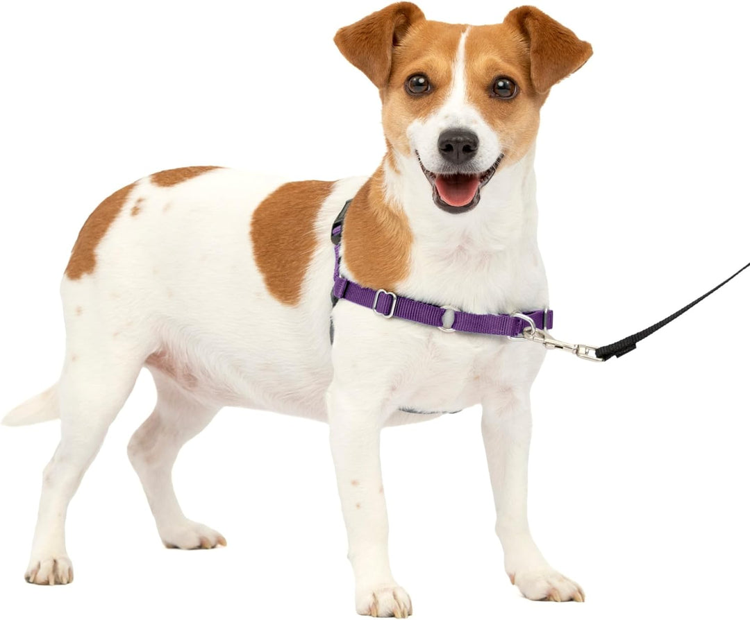 PetSafe Easy Walk Hundegeschirr. Deep Purple/Black Small, Deep Purple/Black Small