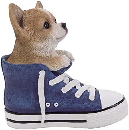 Pacific Giftware PT All Star Dekofigur Chihuahua Welpe im Schuh