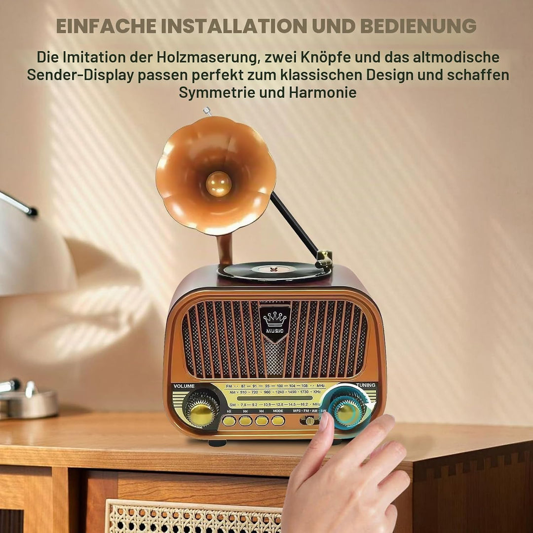 Retro Radio Klein AM/FM/SW, Nostalgie Radio mit Bluetooth, Unterstützt USB/TF/AUX Funktion, Tragbar