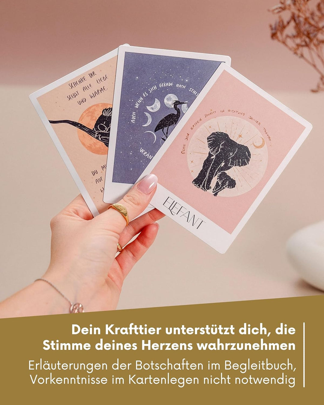 Spirituelle Botschaften von deinem Animal Spirit: Karten-Set & Begleitbuch, Taschenbuch