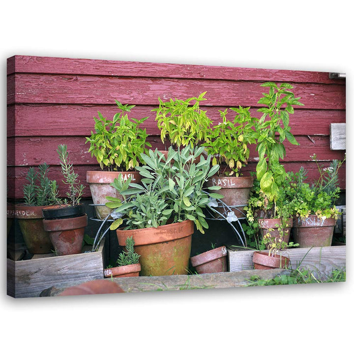 Feeby Vlies Leinwandbild Topfpflanzen 100x70 cm Wanddeko Design Kunstdruck Zimmerdeko Bilderwand Rus