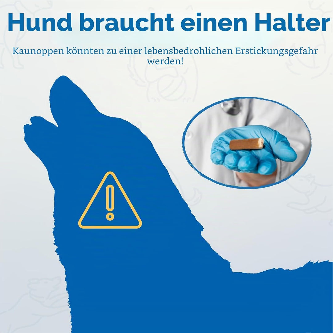 PetClan Chewise Bully Stick Halter – Sicherheit & Robustes Design, BPA-frei, Sicherer Ochsenziemer-H