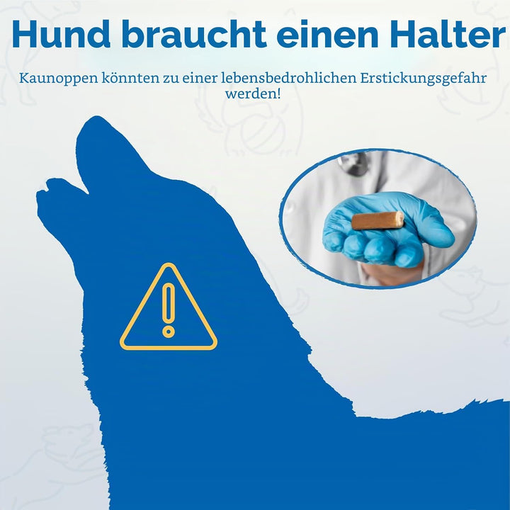 PetClan Chewise Bully Stick Halter – Sicherheit & Robustes Design, BPA-frei, Sicherer Ochsenziemer-H