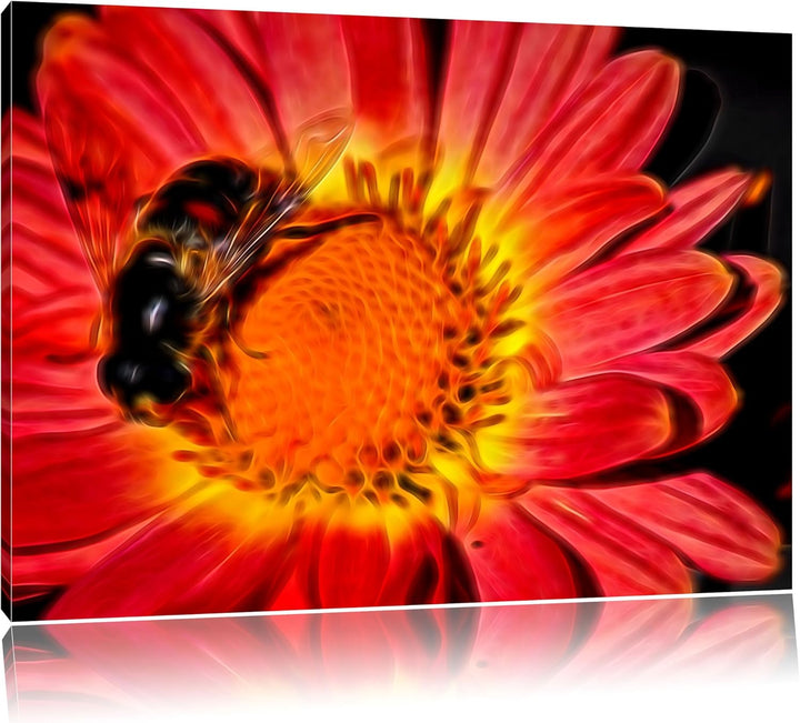 winzige Biene auf Margarete schwarz/weiss Deluxe Format: 100x70 cm auf Leinwand, XXL riesige Bilder