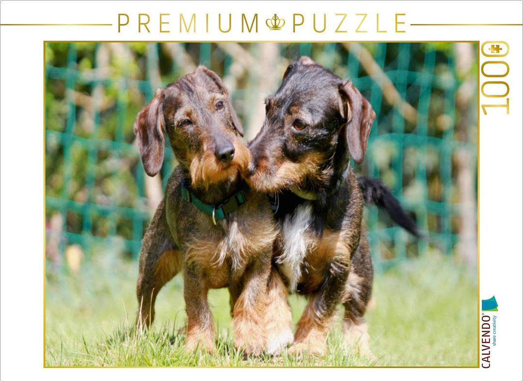 CALVENDO Puzzle Dackelfreundschaft 1000 Teile Lege-Grösse 64 x 48 cm Foto-Puzzle Bild von Barbara Mi
