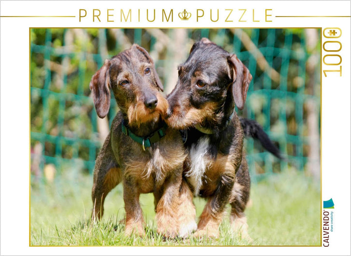 CALVENDO Puzzle Dackelfreundschaft 1000 Teile Lege-Grösse 64 x 48 cm Foto-Puzzle Bild von Barbara Mi