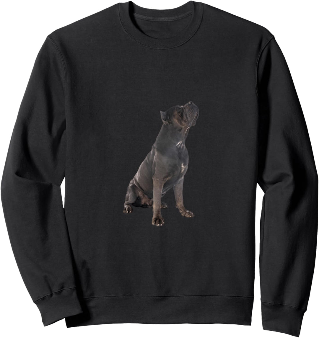 Niedlicher Cane Corso Sweatshirt