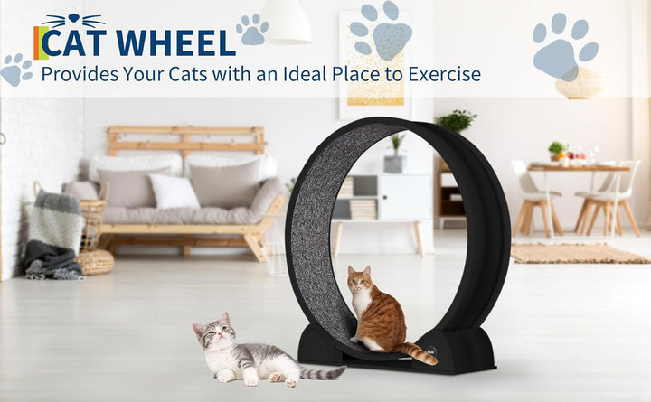 Katzenlaufrad, 114cm Laufrad mit Schrittzähler &amp; Kratzbrett für Indoor-Katze, Super Leise Laufband m