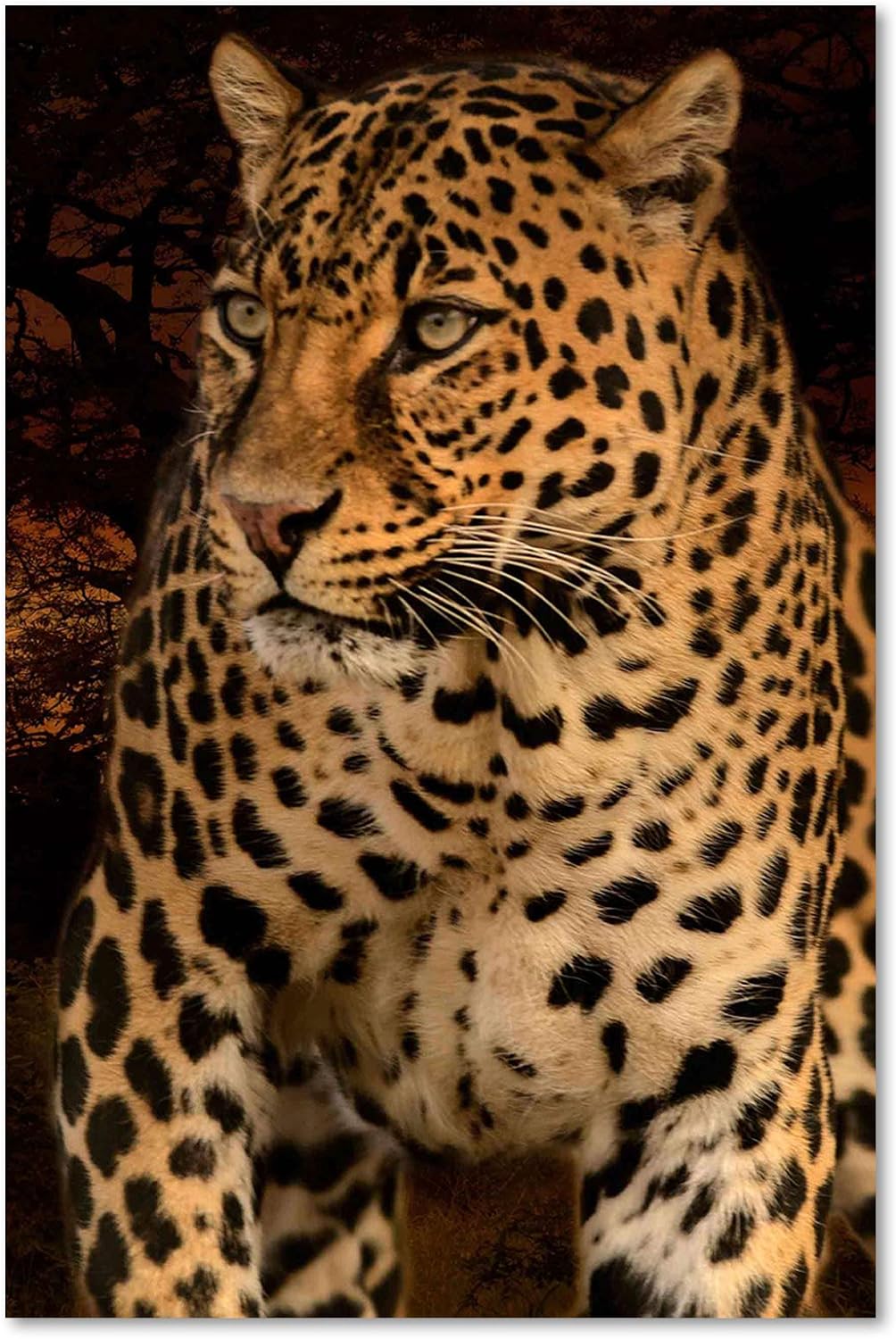 Feeby Bild auf Leinwand Tier Wild Leopard Kunstdruck modern abstrakt Orange 60x90 cm Leinwandbild 60