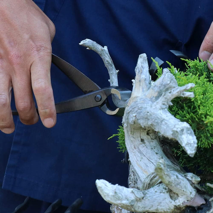 Wazakura Handgeschmiedete Bonsai-Zange 200 mm, Made in Japan - Konkavzange Schwarz, Schwarz