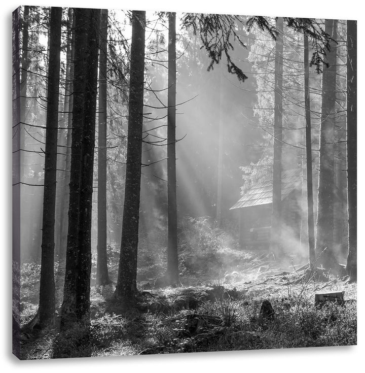 Pixxprint Häuschen im Wald mit Sonnenstrahlen schwarz/weiss, Format: 70x70 auf Leinwand, 70x70