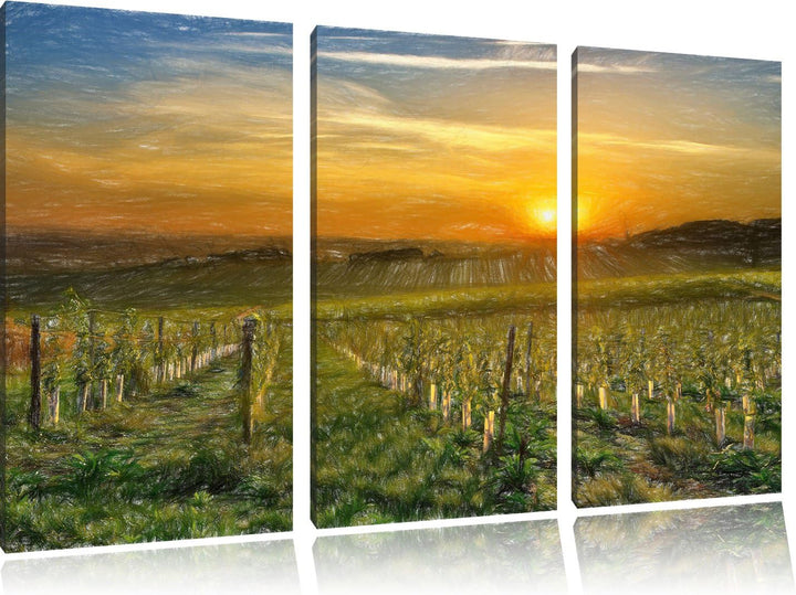 Pixxprint Weinberg in Bergerac Frankreich / 3-Teilig/Gesamtmass 120cm Leinwandbild bespannt auf Holz