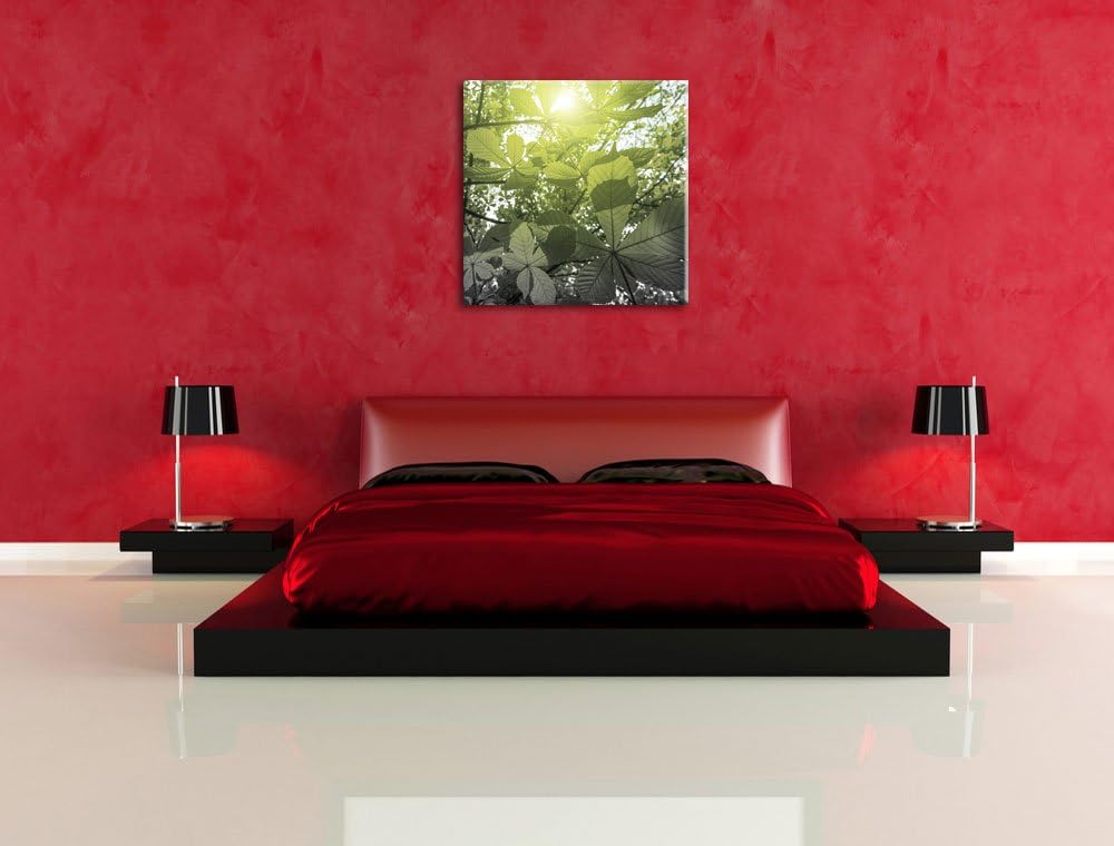 Pixxprint Grüne Kastanienblätter schwarz/weiss, Format: 70x70 auf Leinwand, 70x70