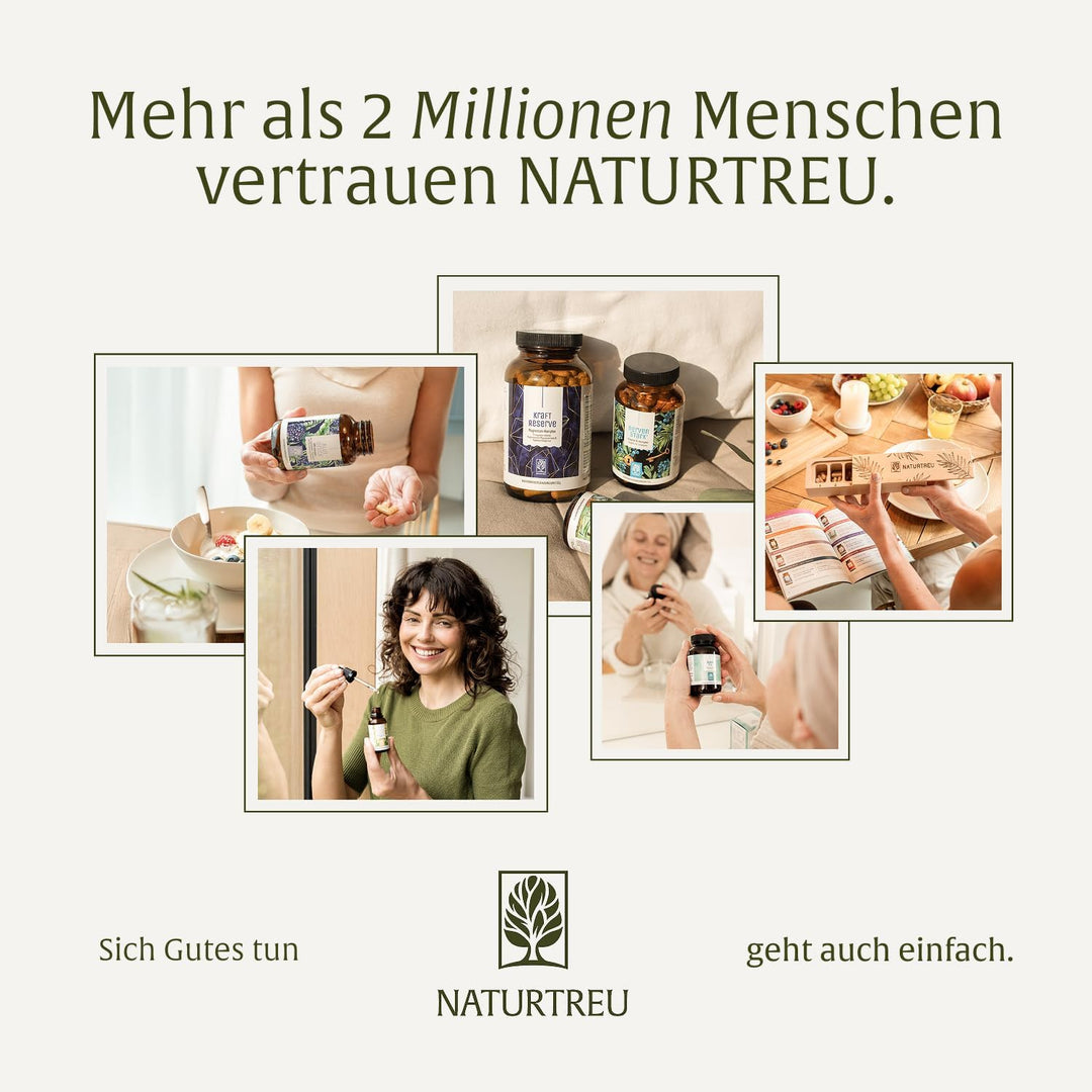 NATURTREU® Goldelixier Goldene Milch Pulver - zur Zubereitung von Kurkuma Latte - enthält 300 g Pulv