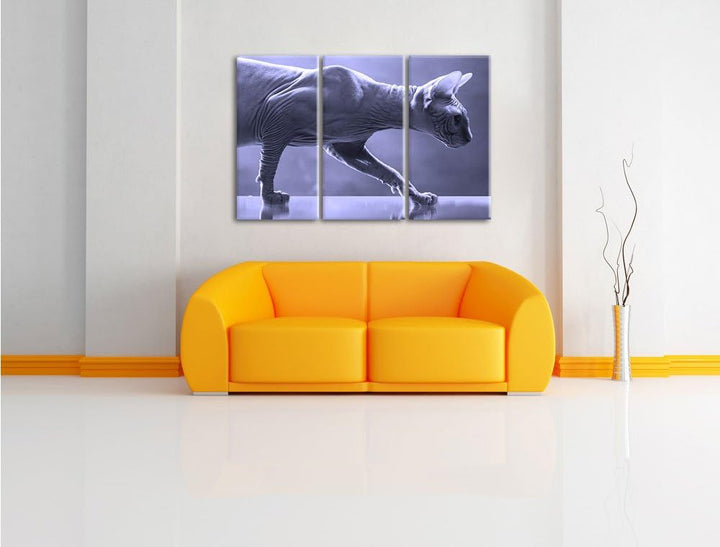 Pixxprint Einzigartige Sphynx Katze Schwarz/Weiss 3-Teiler Leinwandbild 120x80 Bild auf Leinwand