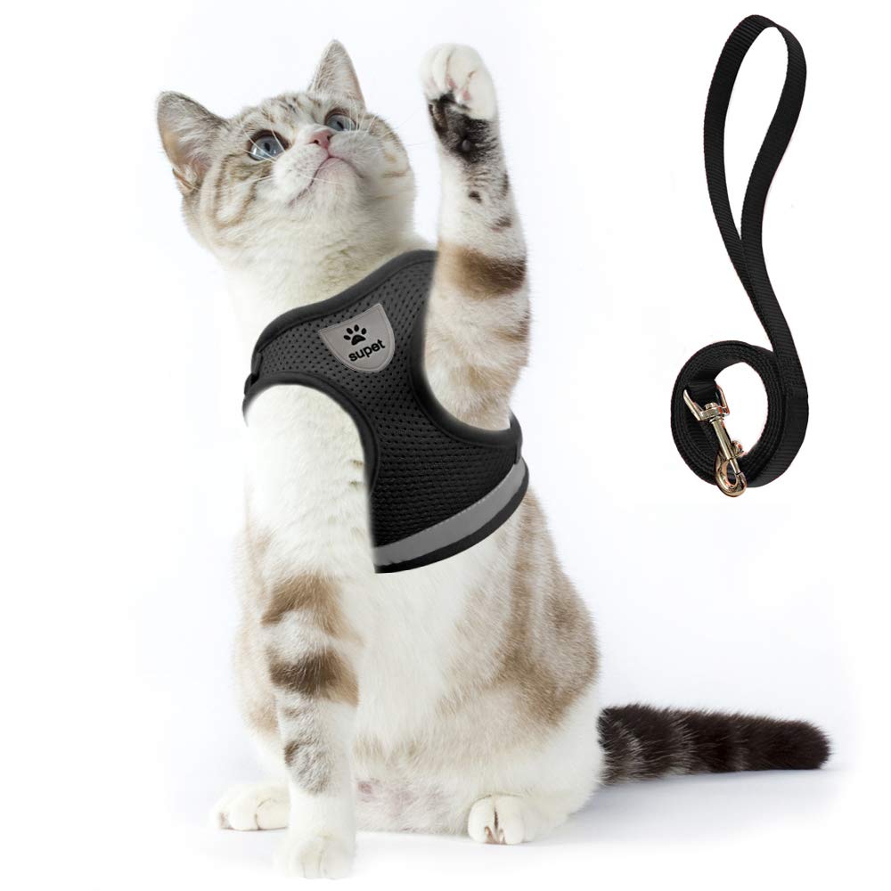 Katzengeschirr und Leine Set zum Spazierengehen Katze kleine Hunde Geschirr Weiches Mesh Verstellbar