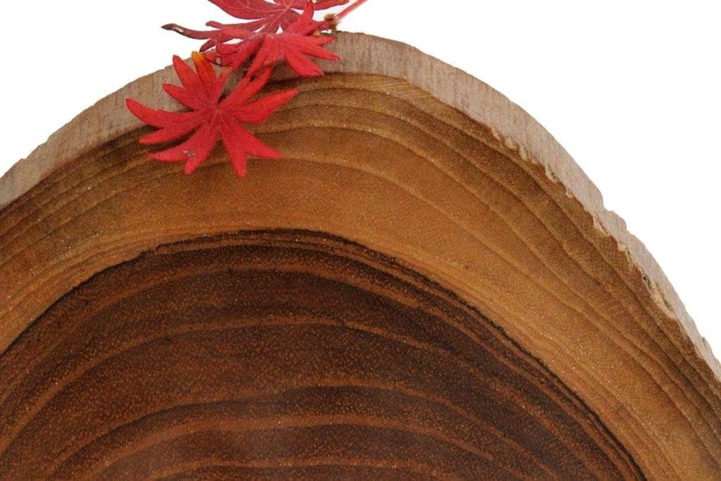 Windalf Früchte & Obstschale MIA 20 cm Natur Holzschale Salatschale Dekoschale Handarbeit aus Wurzel