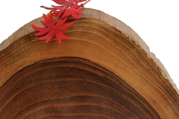 Windalf Früchte & Obstschale MIA 20 cm Natur Holzschale Salatschale Dekoschale Handarbeit aus Wurzel
