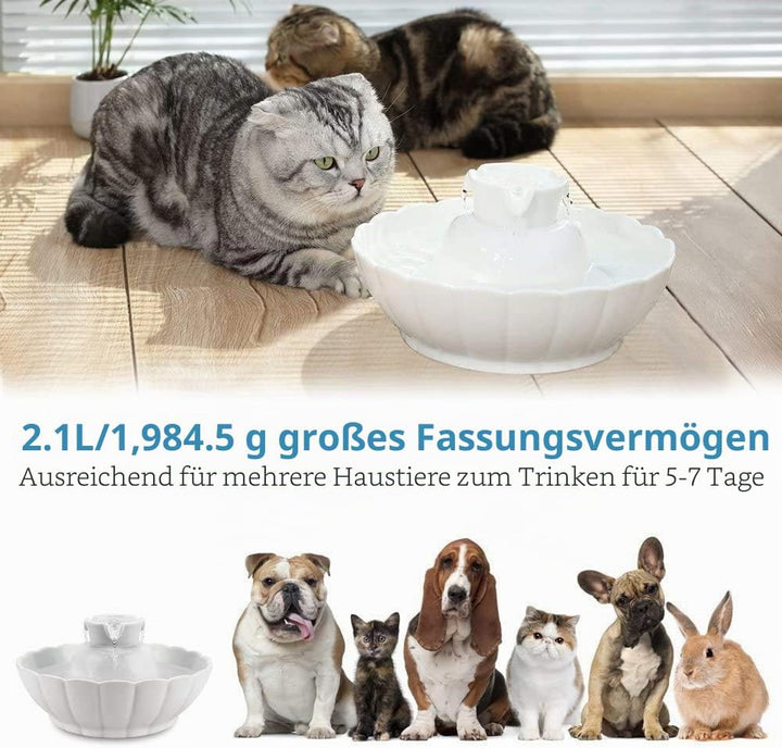 iPettie Tritone Keramik Pet Trinkbrunnen丨Ultra leise, viel Besser als Kunststoff丨Wasserbrunnen für K