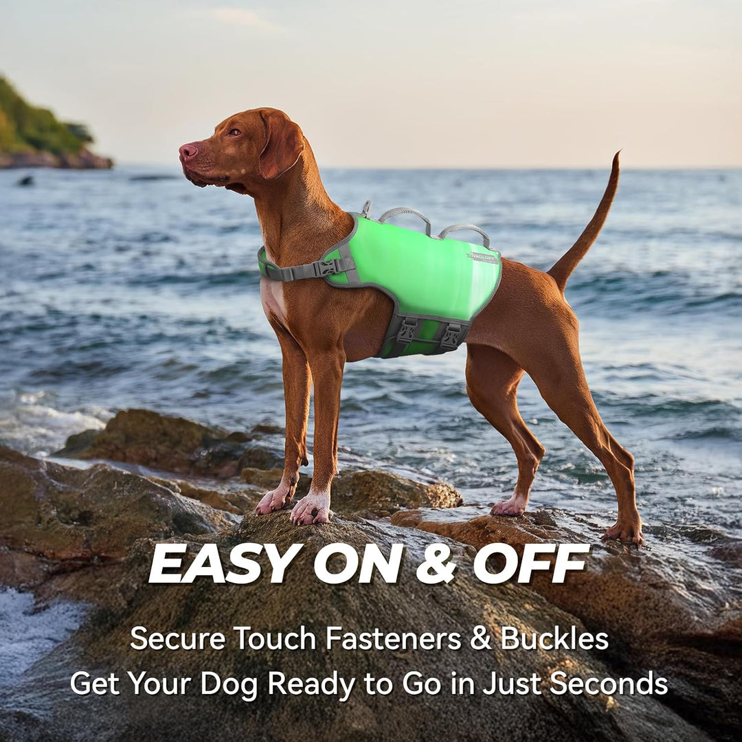 VIVAGLORY Hunde Schwimmweste Neoprene Hundeschwimmweste, XL, Naturgrün | Verstellbar &amp; Auftrieb for