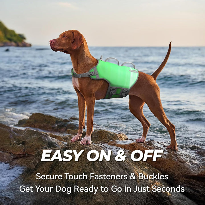 VIVAGLORY Hunde Schwimmweste Neoprene Hundeschwimmweste, XL, Naturgrün | Verstellbar &amp; Auftrieb for